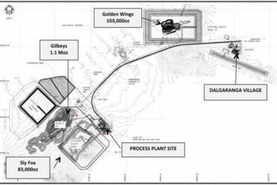 Dalgaranga’s new 2.5 Mt/y processing plant