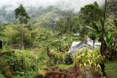 Crater Mountain increasing gold production, PNG