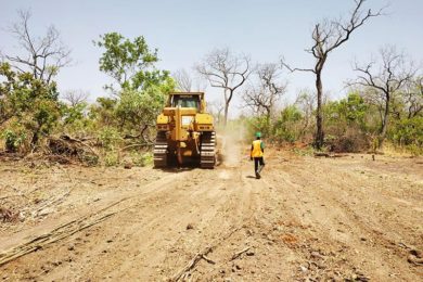 Bassari drafts in Junction Contract Mining for Makabingui gold project