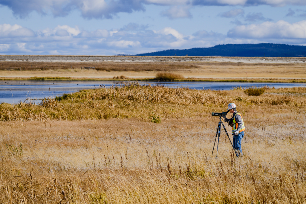 ICMM mining members make commitments to support a nature positive future - International Mining