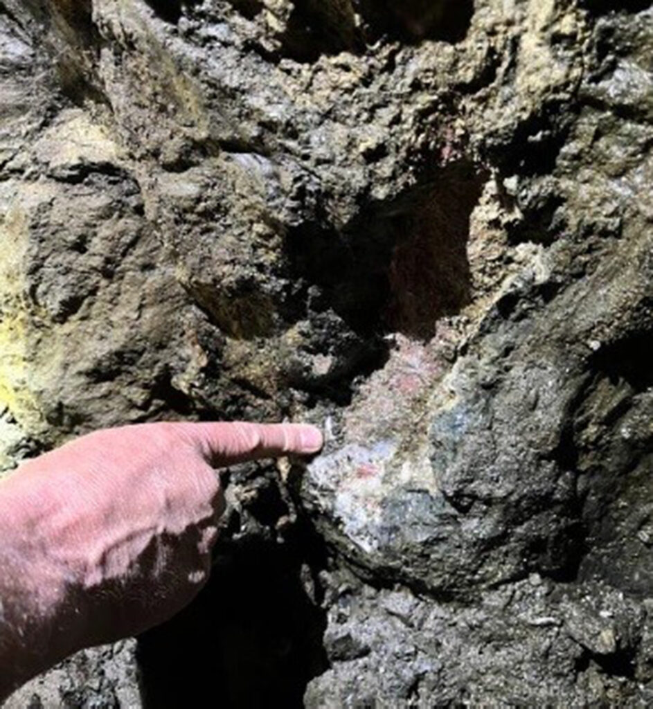 VerAI exploration tech uncovers REE potential at Sheep Creek - International Mining